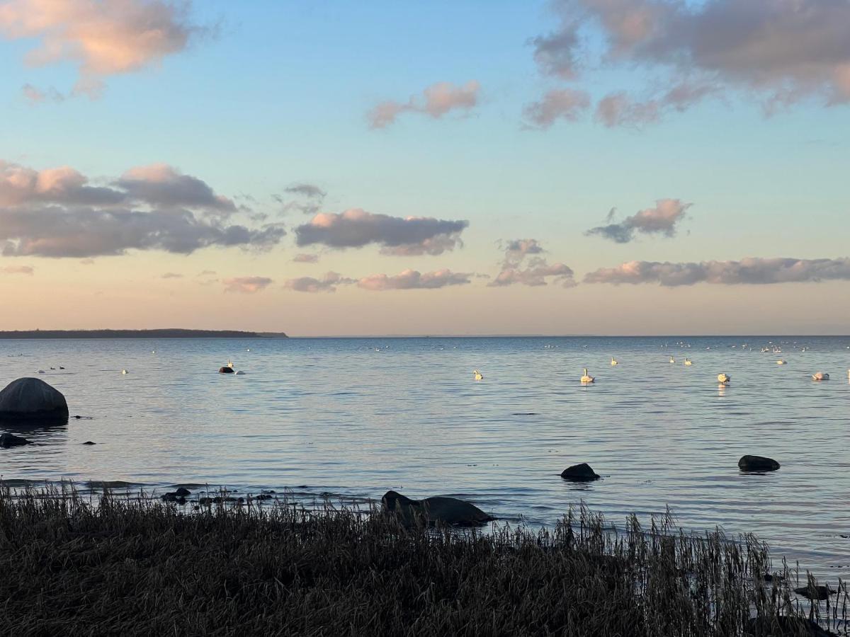 Reet Und Meer Beckerwitz Hohenkirchen  Экстерьер фото